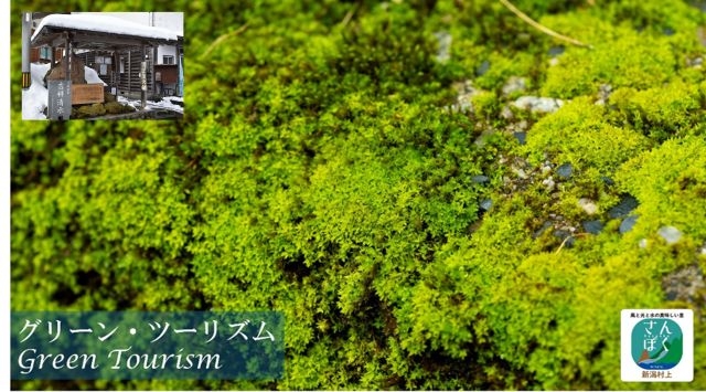 「Sanpoku Bio-Regional Park」將於5月在日本東北部開放