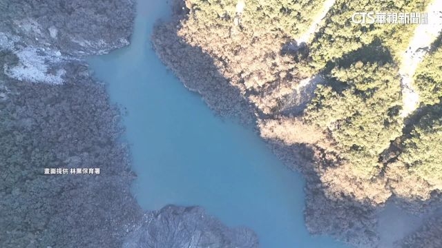 台灣的隱憂：除了台積電，我們還剩下什麼競爭力？