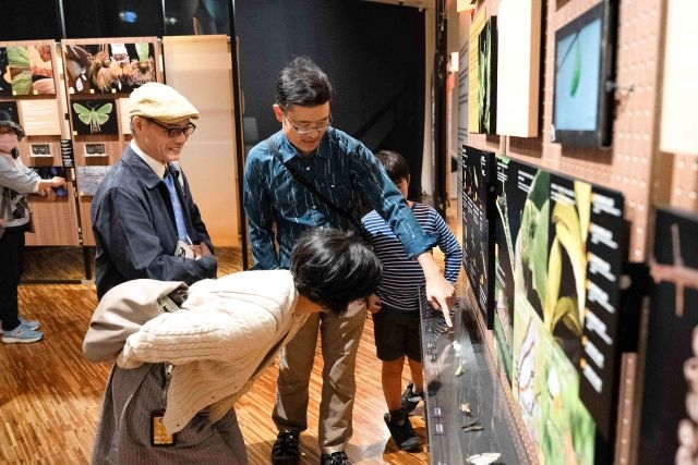 「島嶼飛行—臺灣蝶蛾生存記」特展 看見鱗翅的奇幻旅程,展開一場關於生命與共生的飛行!