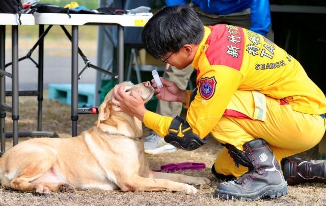 竹市搜救犬隊通過國家MRT認證 邱臣遠代理市長:展現救災實戰能力