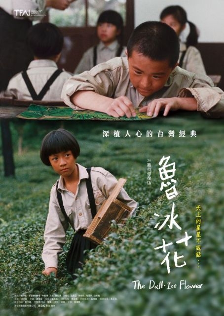 《魯冰花》數位修復版重返大銀幕 桃園客家文學巨擘鍾肇政經典再現　2026桃園電影節 展前電影包場特映 帶桃園市民重回感動世代