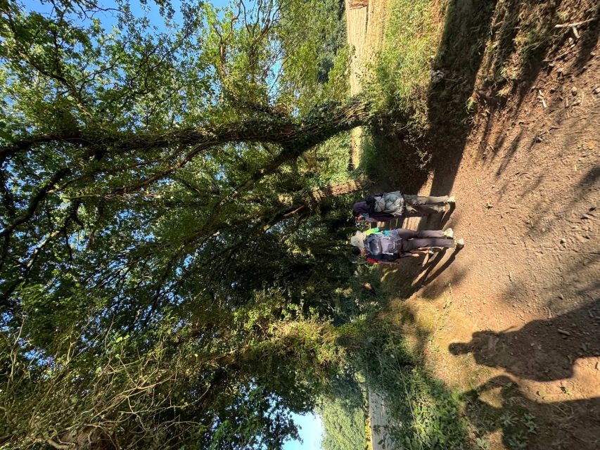 學員們每天清晨出發,忍受長坡、碎石與腳底水泡。 學員們每天清晨出發,忍受長坡、碎石與腳底水泡。