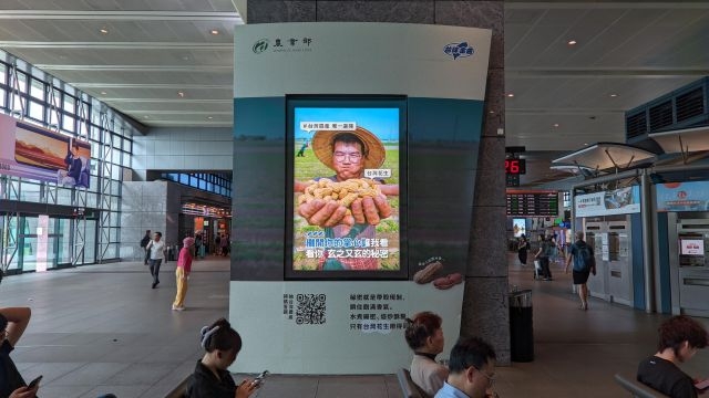 最台灣的味道：台灣農產✕台味金曲 推廣優質國產農漁畜產品農業部系列宣傳活動開跑！